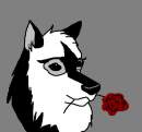 Kiowa with a Rose!!