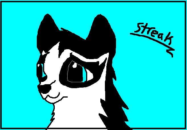 Puppy Streak!!!