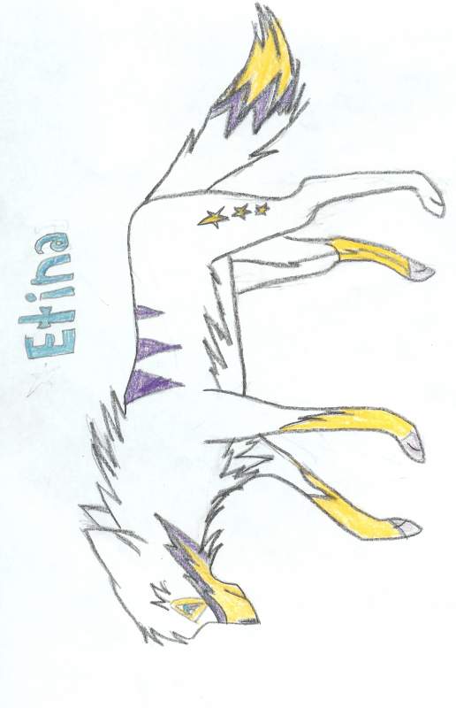 Etina