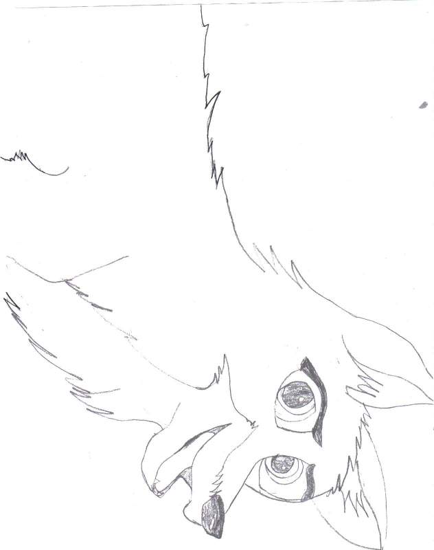 Balto as a Pup