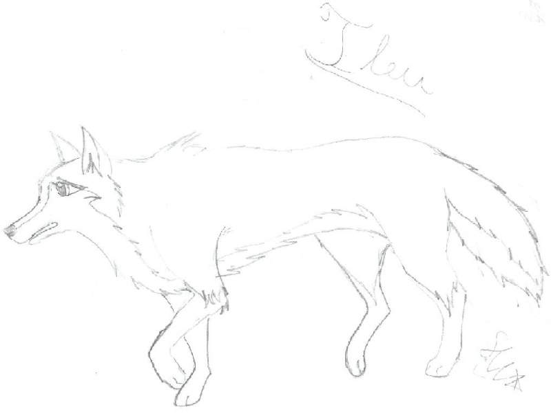 Ileu's request from who knows when- its FINALLY he
