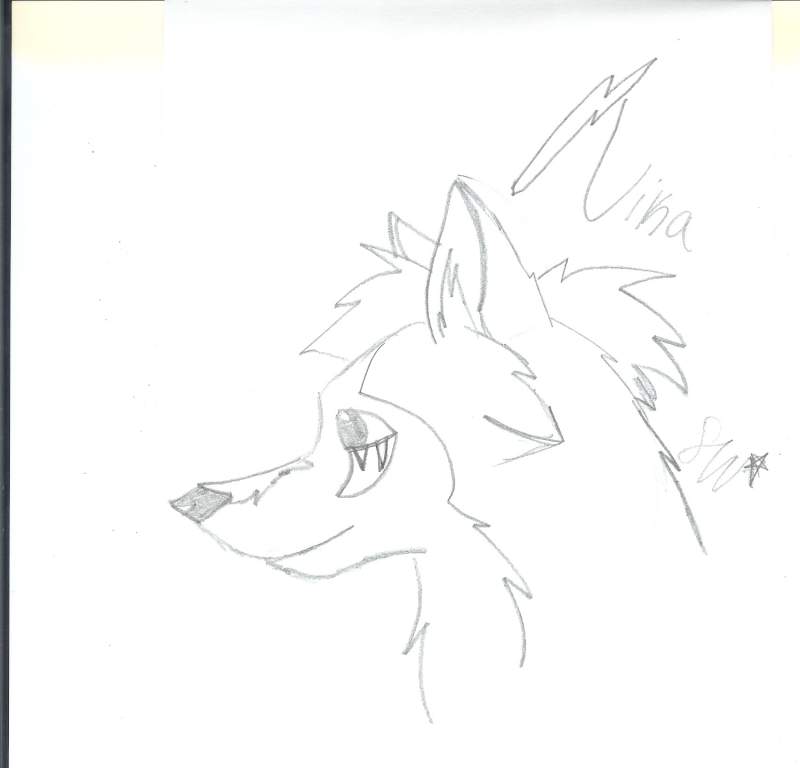 Nika 