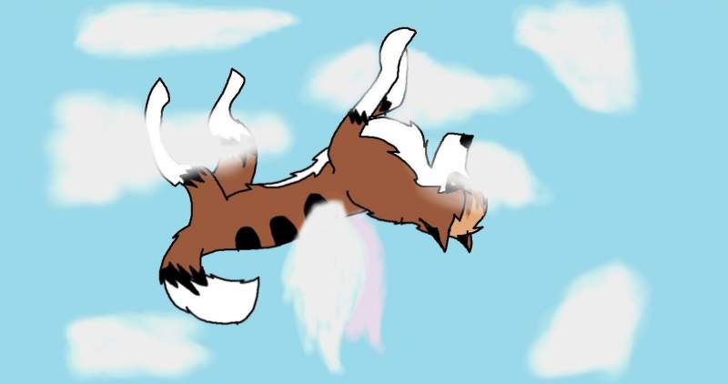 Suni as and Angel
