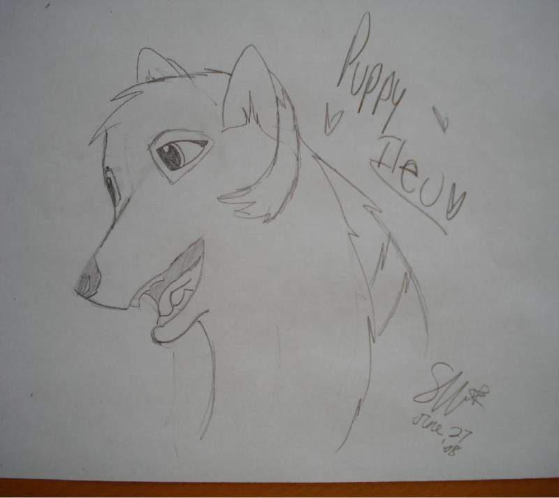 Ileu Gifty- Puppy Ileu