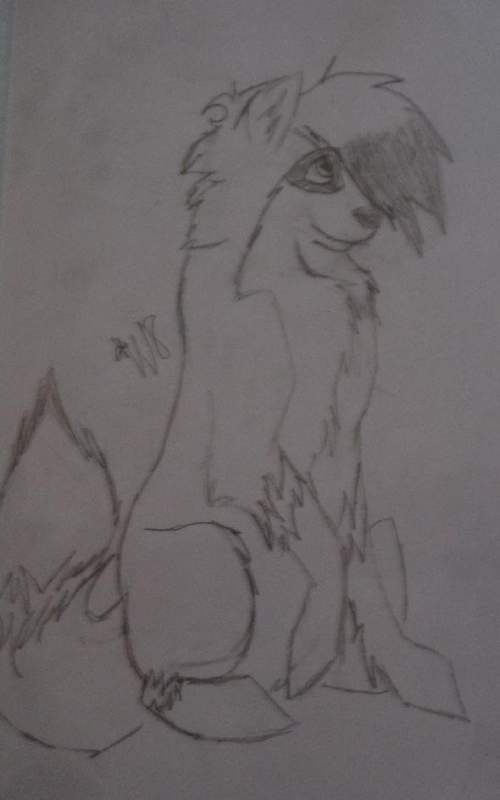 Suni sits...