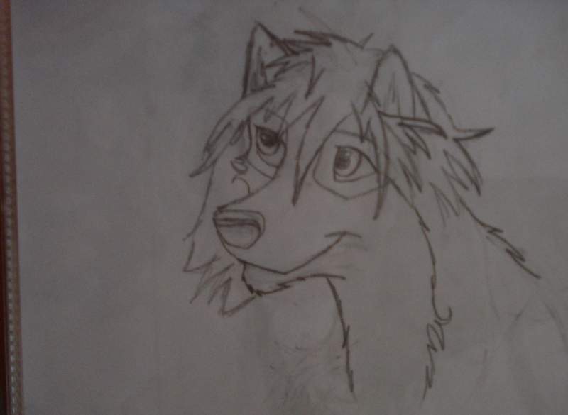 Suni Portrait