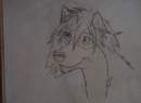 Suni Portrait