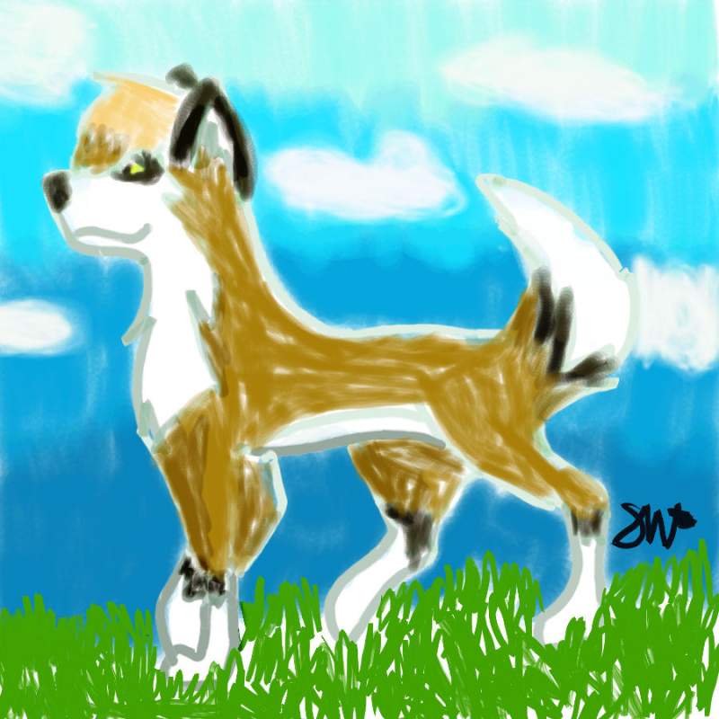Suni on a bright day...