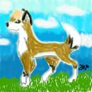 Suni on a bright day...
