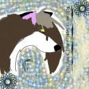 Meh Profile Pic!