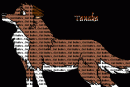 Gift for Balto@CMNH-Tanaka