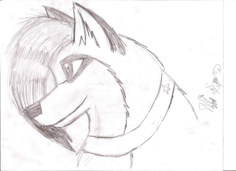 Suni Sketch