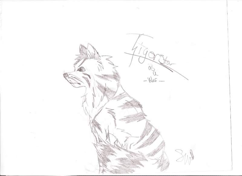 Tigerstar as a Wolf