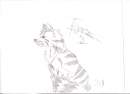 Tigerstar as a Wolf