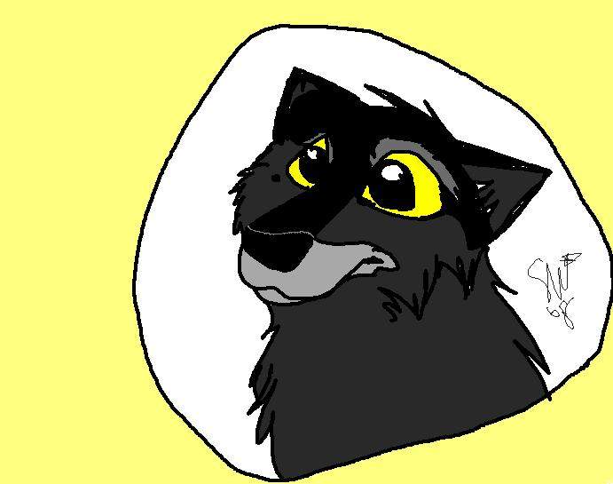 Cute Shadow