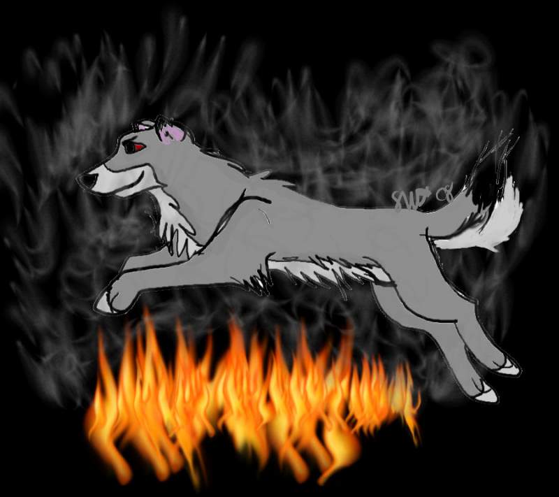 DCL's request- the wolf she'd fall for