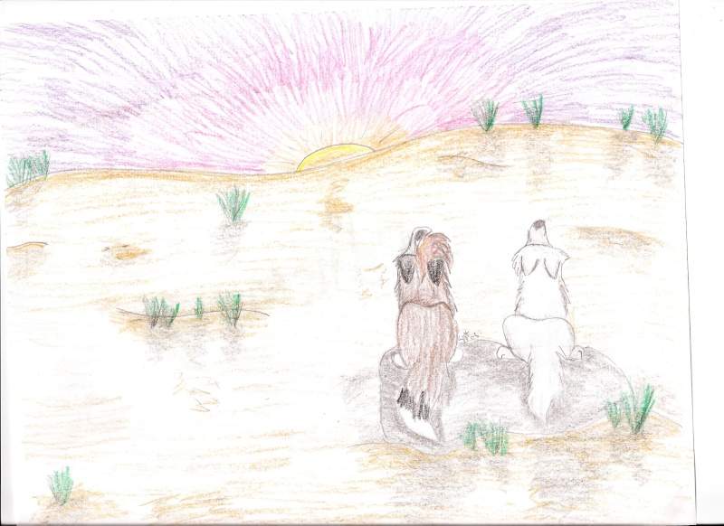 Sunset of Memories