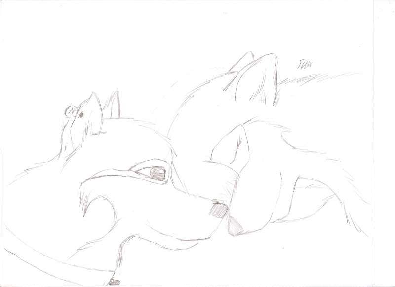 Silent Affection