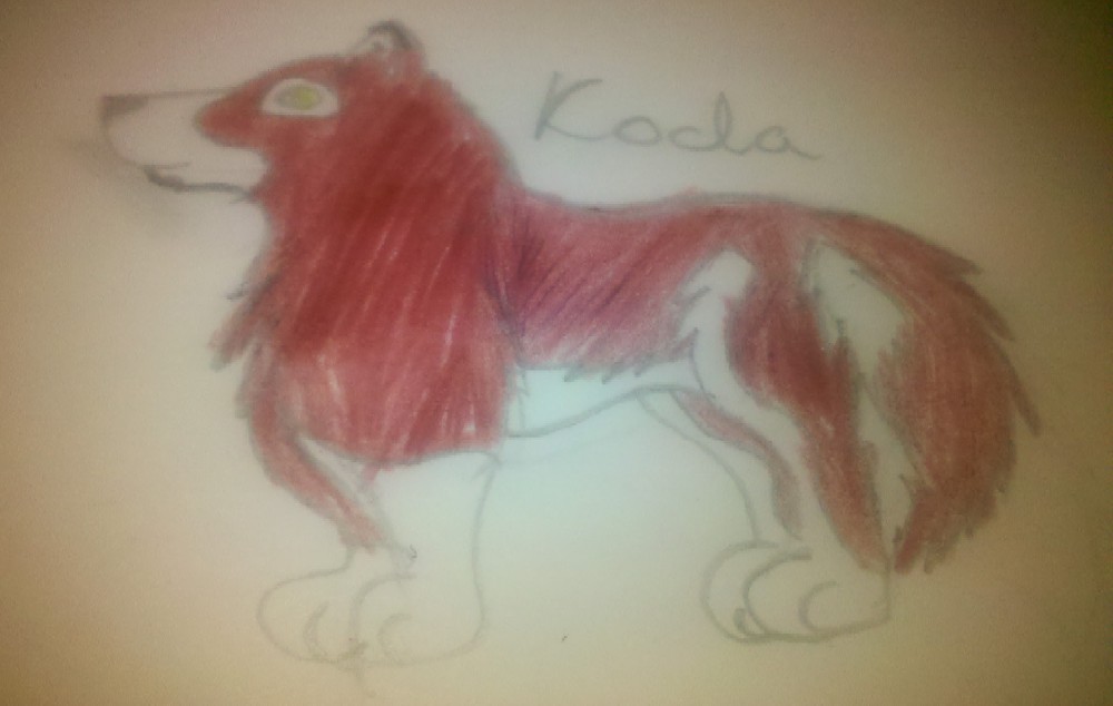Koda