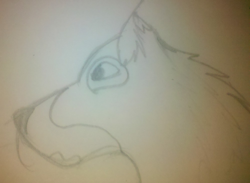 Koda Again