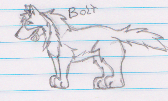 My Boy Bolty!