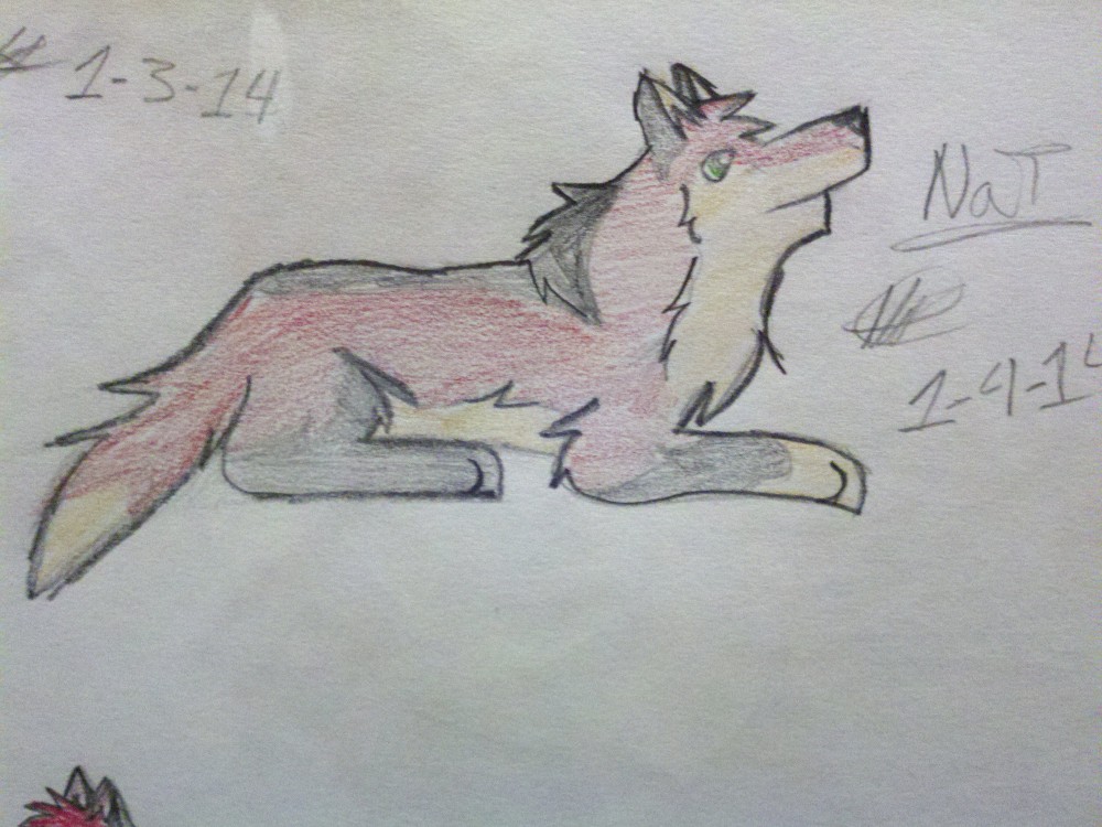 NaT sketch