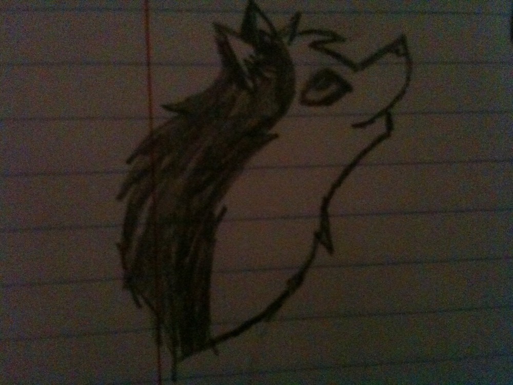 Steele XP