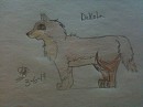 Dakota [Callum's request]