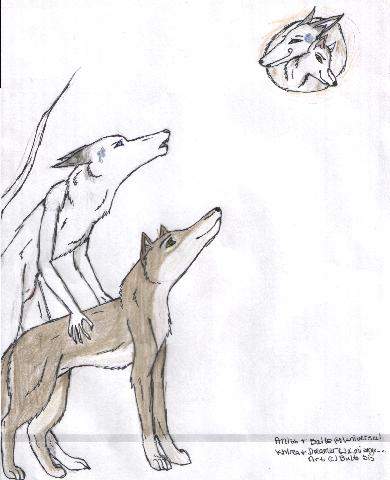Dreamer and Balto