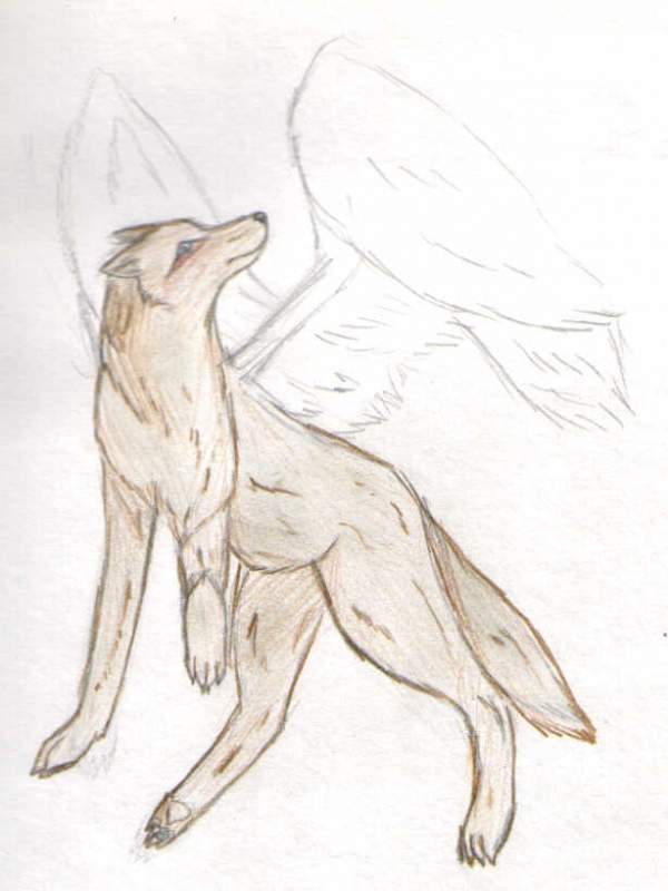Winged wolf