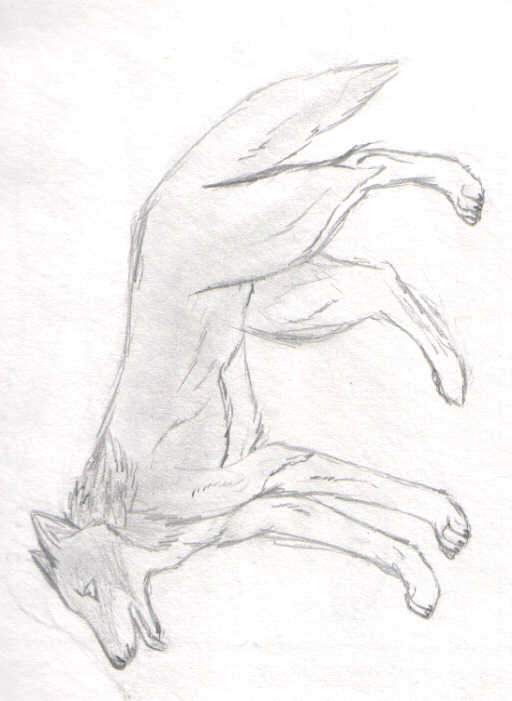 Random Wolf