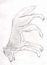 Random Wolf