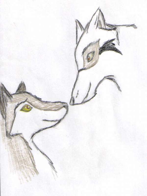 Art Trade with Kelev