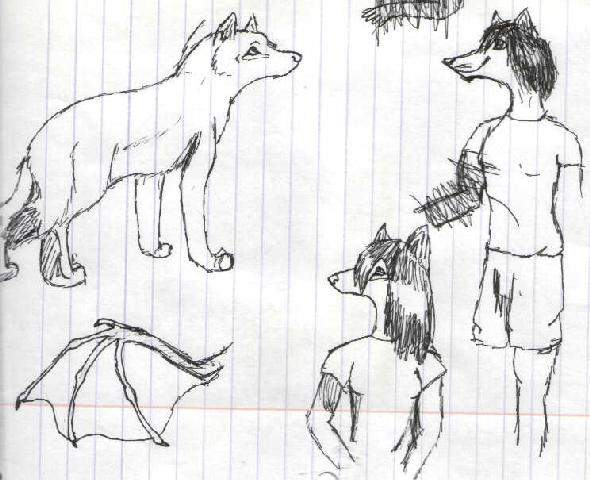 random sketches