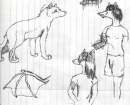 random sketches