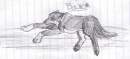 Balto in pen