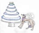 HAPPY BIRTHDAY CANADIAN WOLF!!!!!!!!