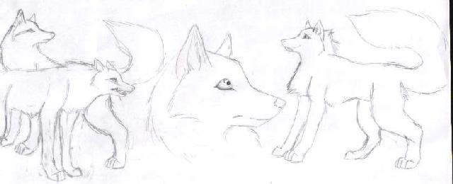 A request from Wildfire