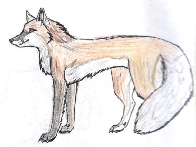 Gift art for Night