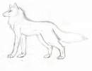 RANDOM WOLF!!! YAY!!