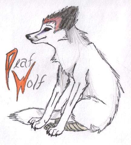 Deaf Wolf *colored*