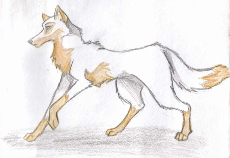 Gift for Draco