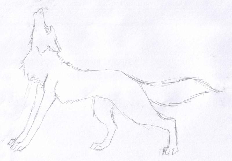 Random Lineart
