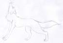 Random Lineart