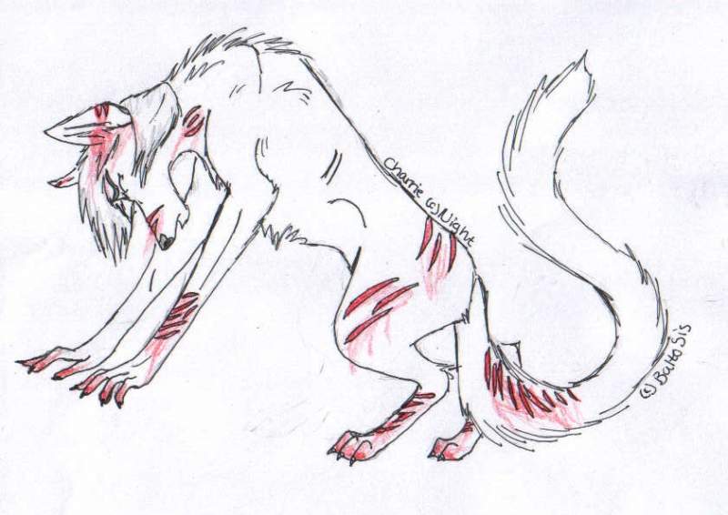 GIFT FOR NIGHTIE!