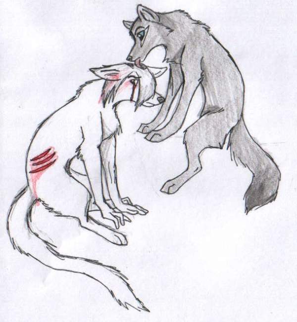 Gift for Night