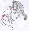 Gift for Night