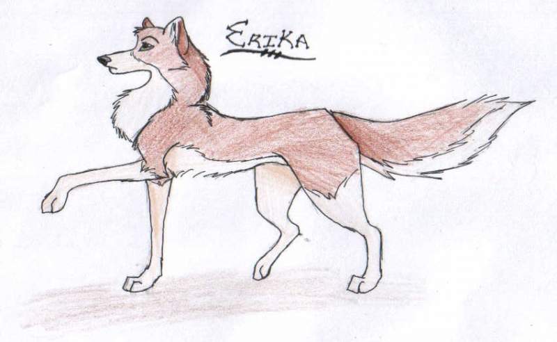 For The Lone Wolf (or sun wings)