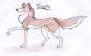 For The Lone Wolf (or sun wings)