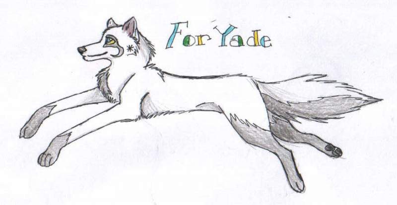 For Yade(WG)